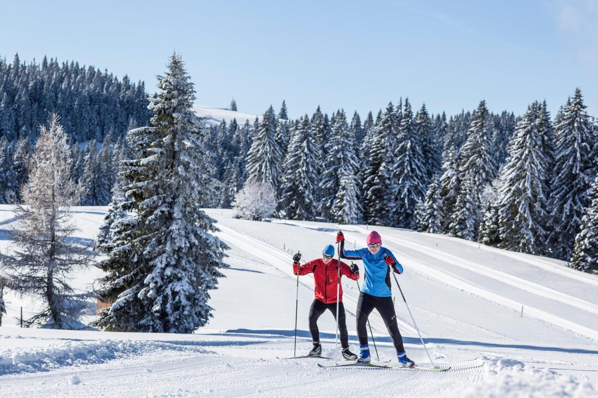 Ferienwohnung Seeblick Nr 5, 2 Zi-Baerental, Feldberg Rotwasser Extérieur photo