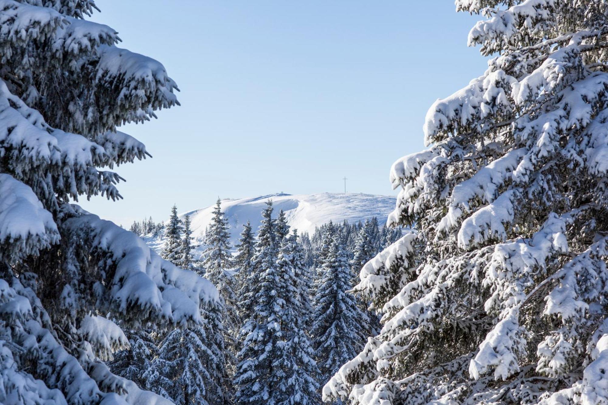 Ferienwohnung Seeblick Nr 5, 2 Zi-Baerental, Feldberg Rotwasser Extérieur photo