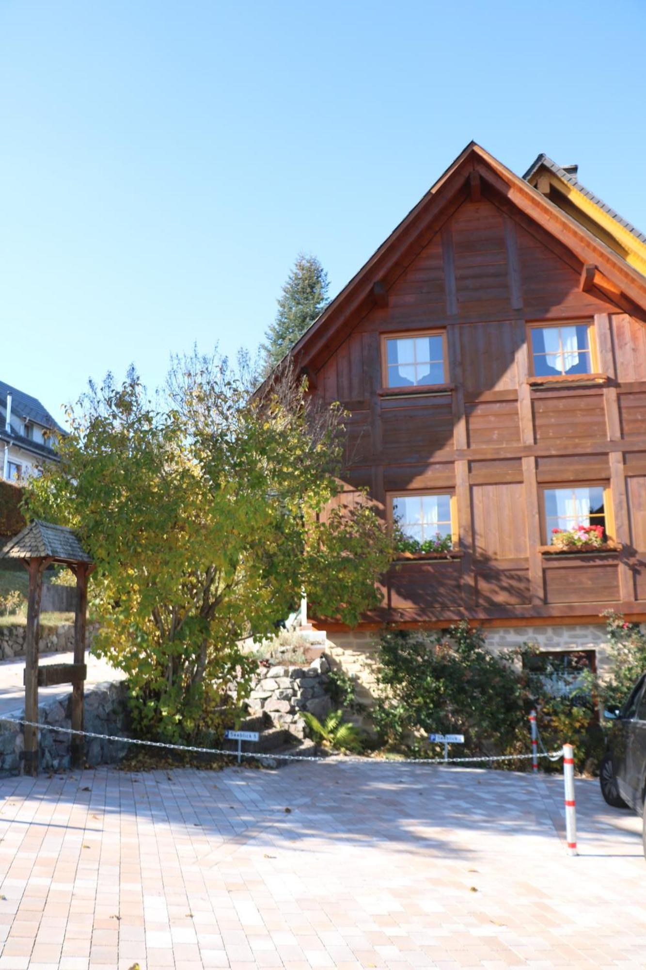 Ferienwohnung Seeblick Nr 5, 2 Zi-Baerental, Feldberg Rotwasser Extérieur photo